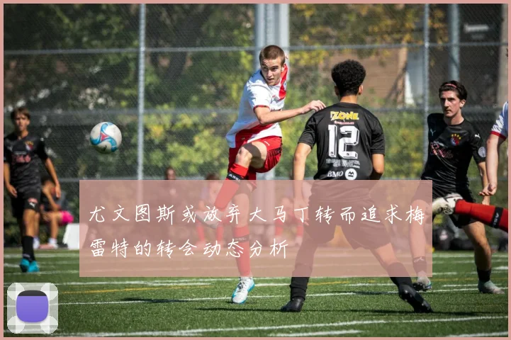 尤文图斯或放弃大马丁转而追求梅雷特的转会动态分析